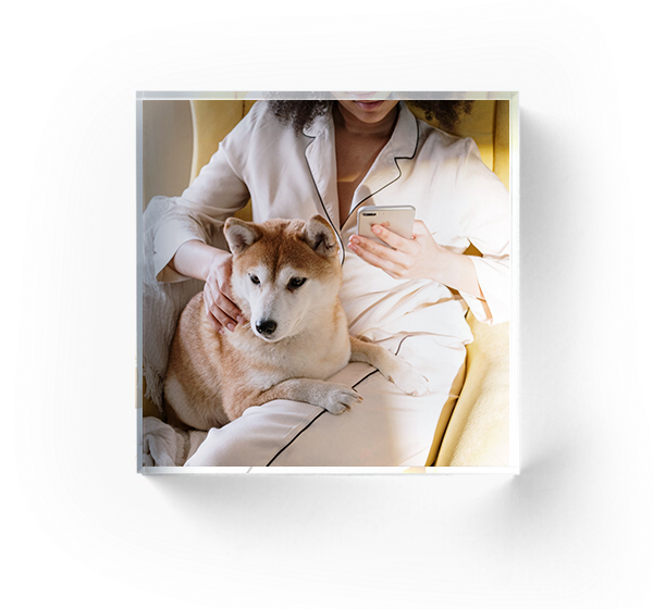 Make Lasting Memories With Custom Pet Acrylic Photo Blocks