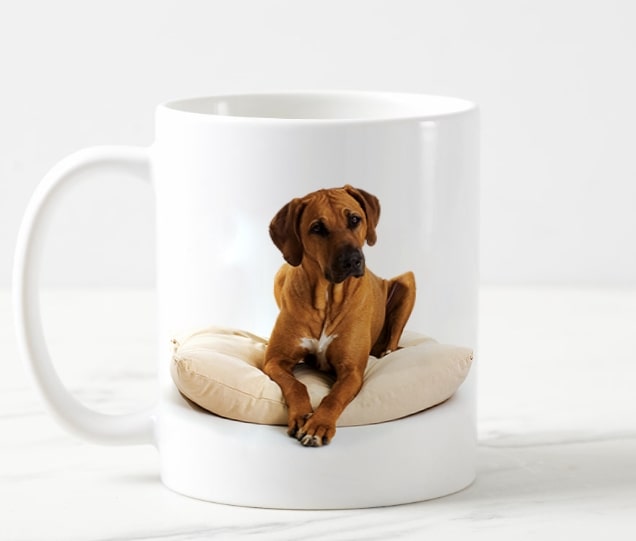 Create a Custom Pet Photo Mug